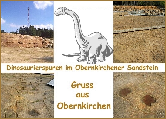 Dinosaurierspuren im Obernkirchener Sandstein