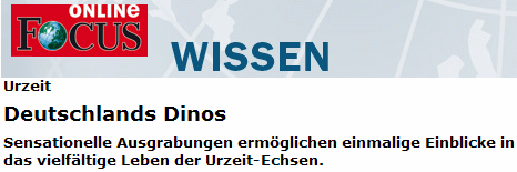 Aus FOCUS Nr. 43 (2008)