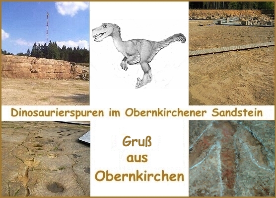 Dinosaurierspuren im Obernkirchener Sandstein