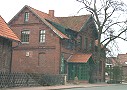 Die Linde
