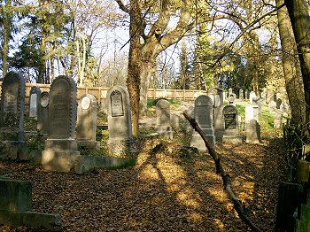 Jdischer Friedhof