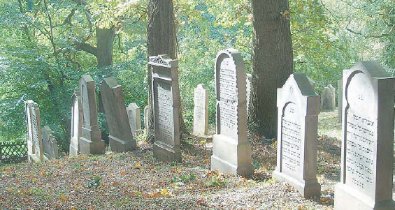 Jdischer Friedhof in Obernkirchen. (Foto:  SN pr.)