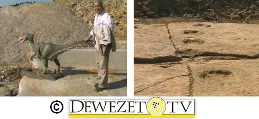  DEWEZET-TV