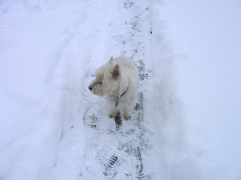 Winter in Obernkirchen