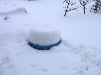 Winter in Obernkirchen