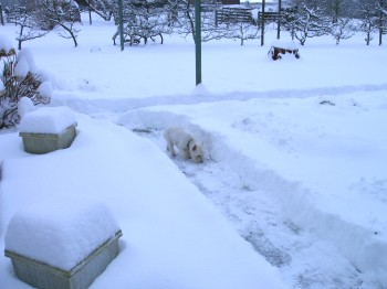 Winter in Obernkirchen