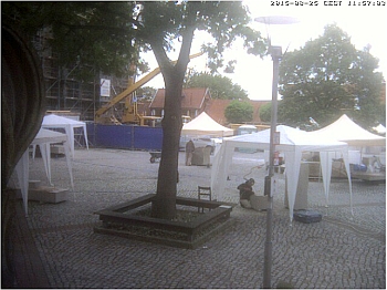 IOBS-Webcam