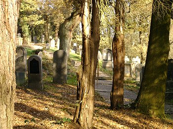 Jdischer Friedhof