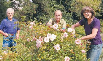 Freundeskreis Garten Brockmann pflegt 150 Jahre alte Anlage. (Foto:  SN mld)