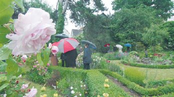 Garten Brockmann. (Foto:  SN  rnk)