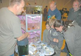 Liethhalle platzt bei der Vogelschau aus allen Nhten. (Foto:  SN jp)