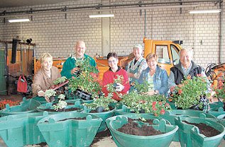 Blumenkbel fr die Innenstadt (Foto:  SN clb)