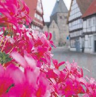 Obernkirchen blht auf. (Foto:  SN mld)