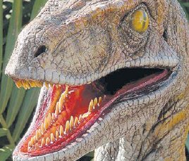 Wie haben die Dinosaurier gelebt? (Foto:  SN pr.)