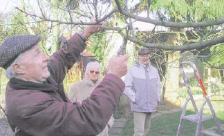 Obstbaumexperte zeigt, worauf es ankommt. (Foto:  SN sig)