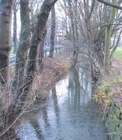 Mhlengraben berbauen als Radweg? (Foto:  SN sig)