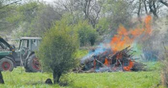 Brenntage werden (ein bisschen) abgeschafft. (Foto:  SN tol)