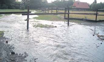 Regenrckhalteflchen oder Anhhung? (Foto:  SN clb)