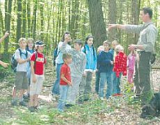 m Wald lernen Kita-Kinder und die Grundschler der vierten Klasse gemeinsam. (Foto:  SN rnk)