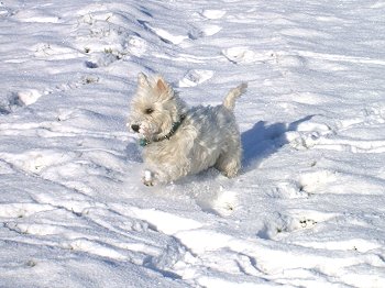 Traumhaftes Winterwetter