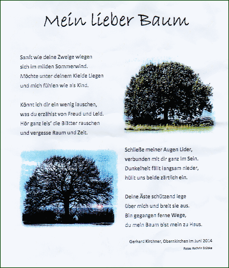 Mein lieber Baum