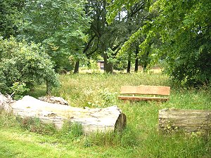 Erinnerungswald auf der Lieth