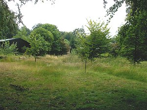 Erinnerungswald auf der Lieth