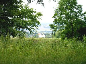 Erinnerungswald auf der Lieth