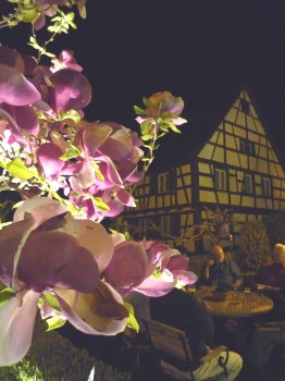 Bodenseefahrt 2010