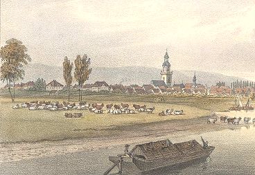Der Heinekamp in Rinteln an der Weser