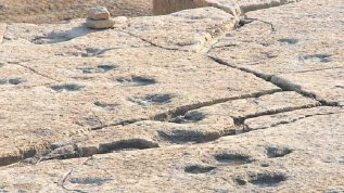 Eine der Fhrtenplatten in den Obernkirchener Sandsteinbrchen. (Foto:  SN tol)