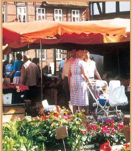 Durchführung