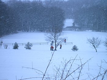 Winter 2005